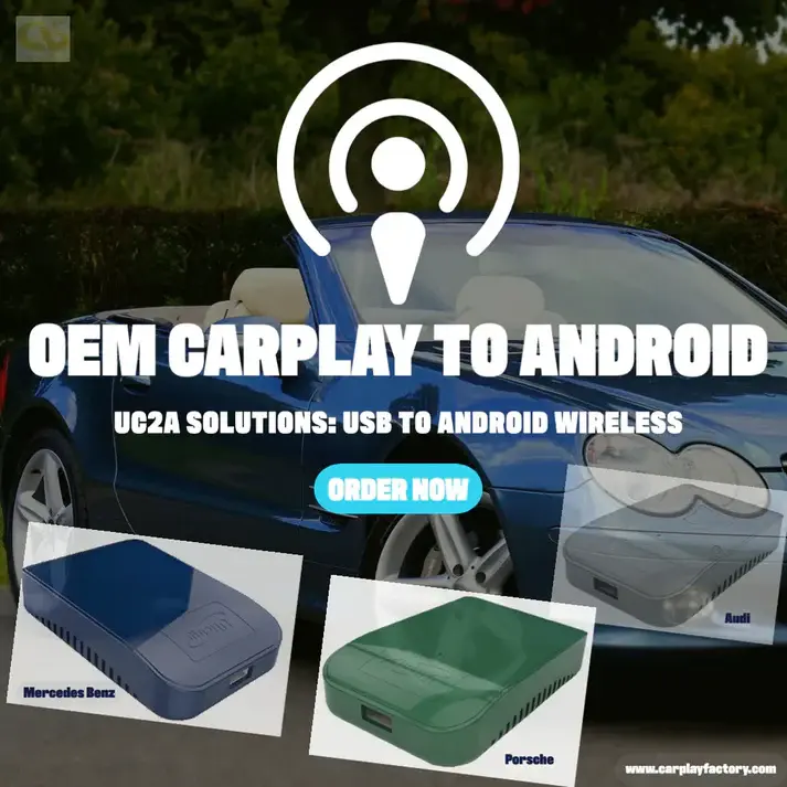 image_8960cc3b-891e-448f-8c59-6306e1135ec5.webp