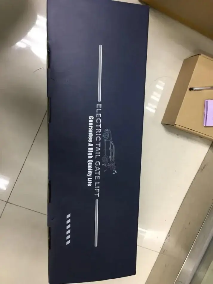image_91c57c72-f2d2-4e9b-a46f-f2a20fbc403c.webp