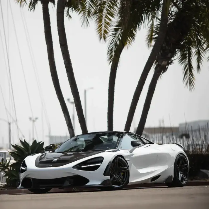 image_2aeb7c82-9132-4332-be51-68051eb85e8c.webp